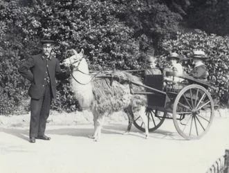 Trois visiteurs dont un jeune garçon, dans une charrette tirée par un lama avec un gardien, Zoo de Londres, mai 1914